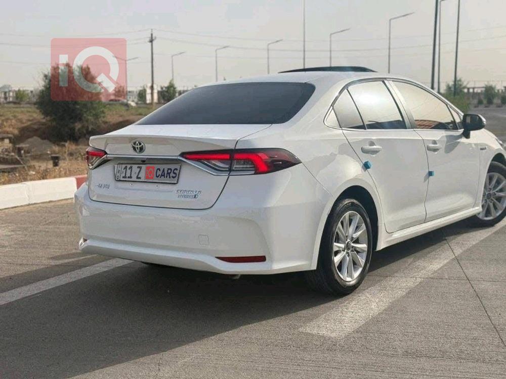 تويوتا كورولا